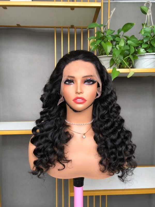 Parisa - 20 inch Luxury Natural Black Color 13x4 Transparent Lace Frontal Wig